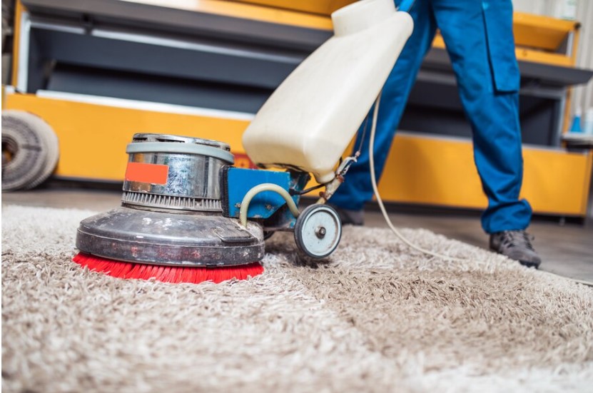 Hire carpet cleaner's expert is cleaning carpet at home