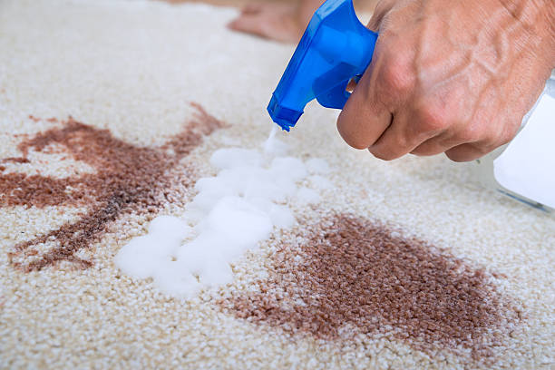 professional cleaning stain from carpet