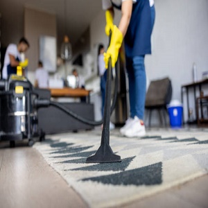 professionals cleaning carpets